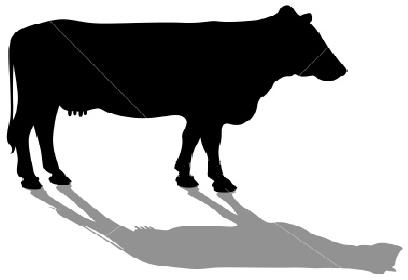 cow-silhouette.JPG